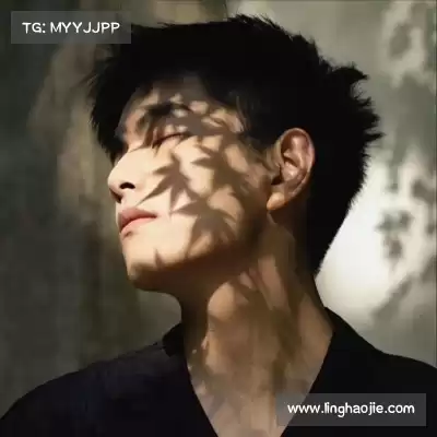 羿垚崇